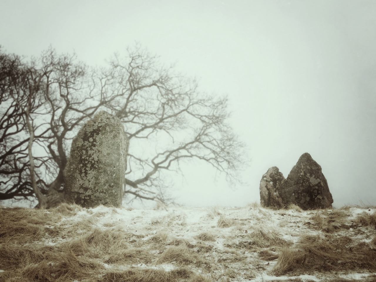 pixie-witch:  No chrisvond:  Örelids gravfält   