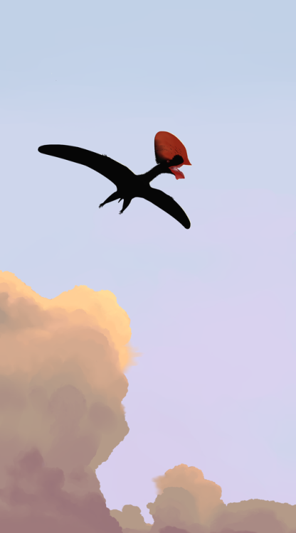 palaeornithology:Tupandactylus imperator in the early evening sky.Spiritual successor to this piece 