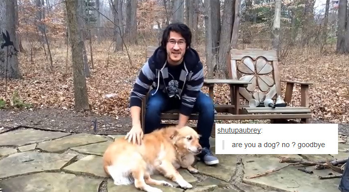 nuclearpiss:  markiplier+text posts 