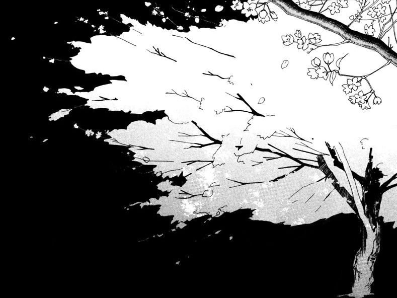 manga fascination