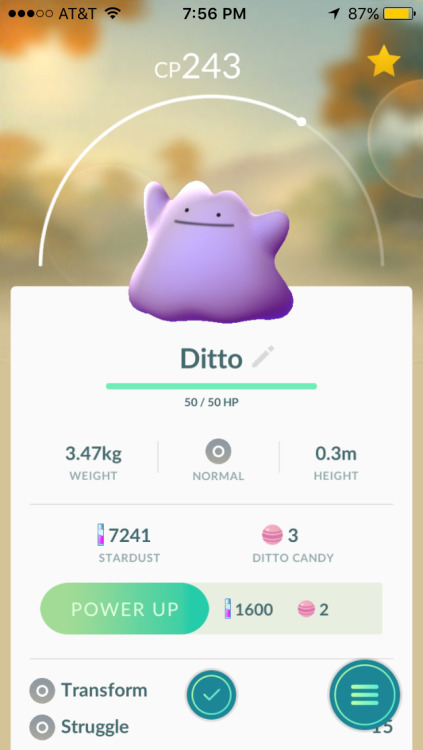 GUESS WHO FOUND DITTO?