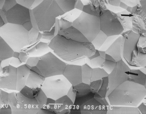 Intergranular fractures (shown through SEM images in the four pictures above) are when materials fai