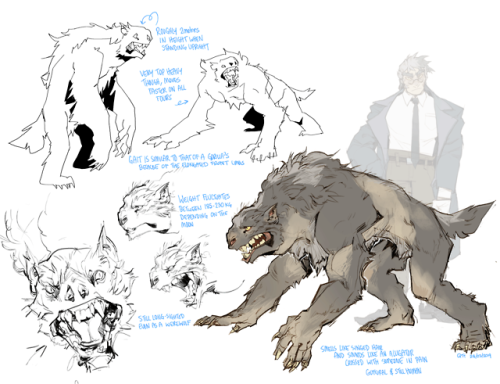 Some OC drawings!! I revised some really old characters of mine and finally designed Zun’s werewolf 