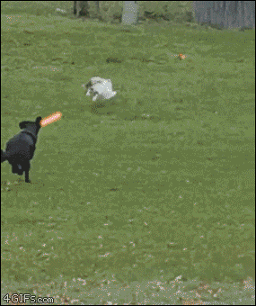 4gifs:  [Unedited]