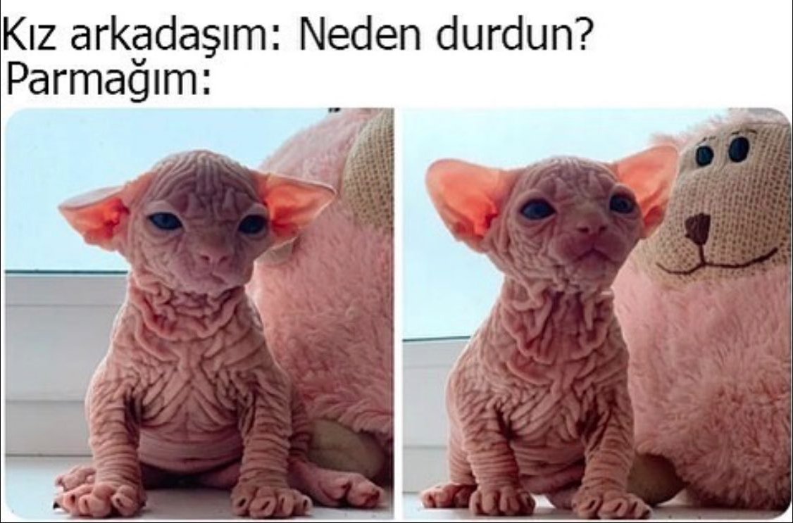 Kız arkadaşım: Neden...