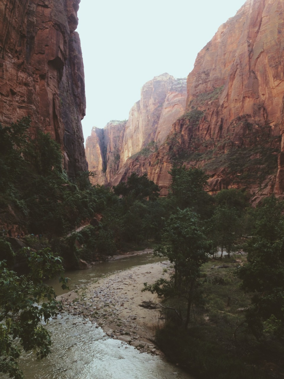 grumpygrizzlies:  Zion National Park in Utah   Been there