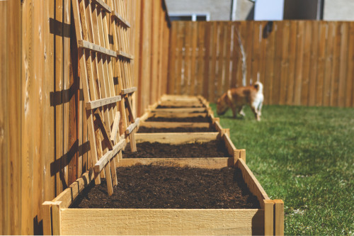 New beds are built and plants have gone in.  It was a productive May long weekend.