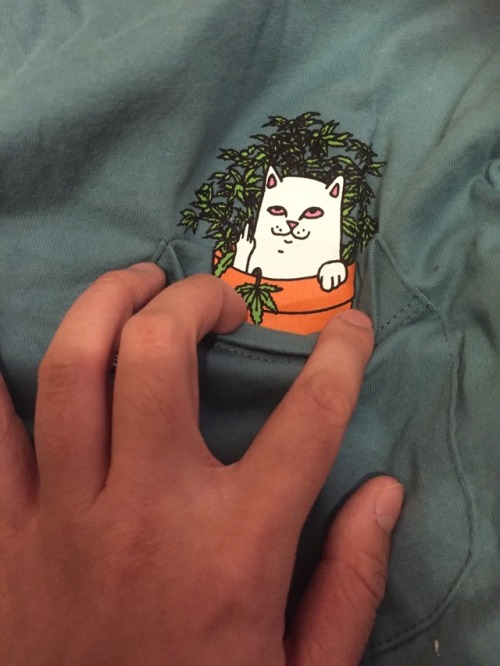 stonerjpeg - My new ripndip shirt that my girlfriend got me