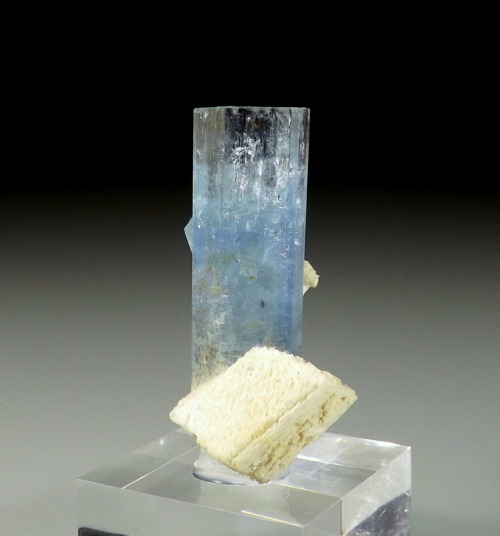 hematitehearts:  Beryl var AquamarineLocality: Erongo Mountains, Erongo Region, Namibia