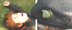 tarch-7:  Awww, this is so adorable. 