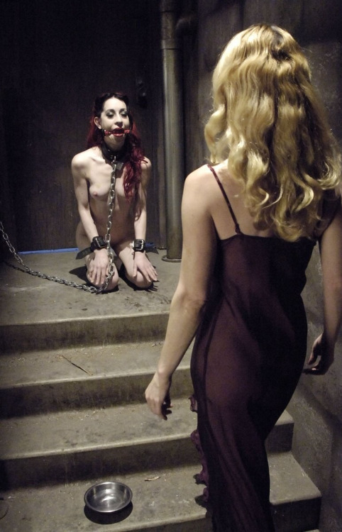 mistresssonjablue:  slaver-chronicles:  ~FROM NOW ON YOUR OWNER DECIDES~   And as