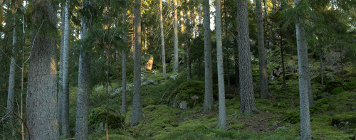 Värmland, Sweden.