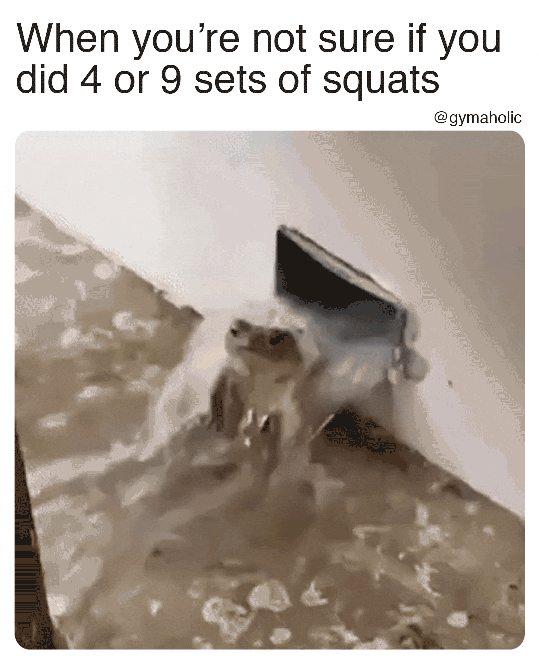 When you’re not sure if you did 4 or 9 sets of squats