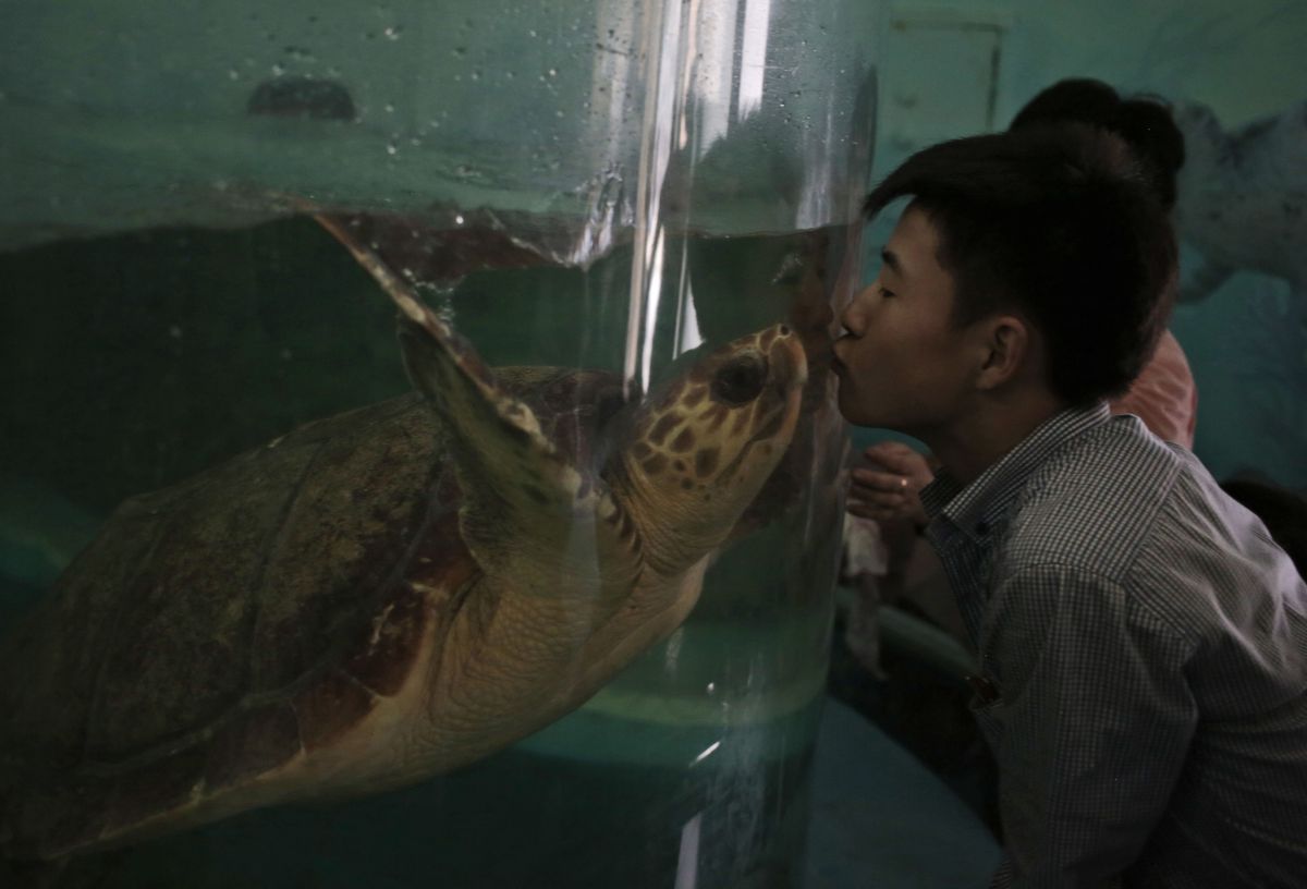 fotojournalismus:  A Day at the Zoo in Pyongyang (August 23, 2016)Photos by Dita