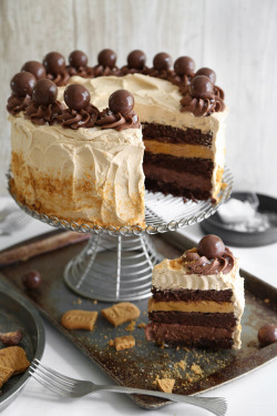 Fullcravings:  Malted Nutella And Biscoff Brownie Torte