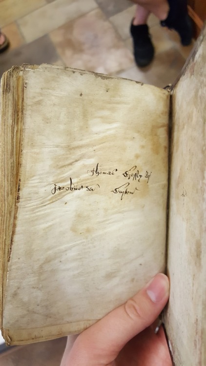 Here are some very belated pictures from this summer. The book is a 1350 Latin edition of the Magna 