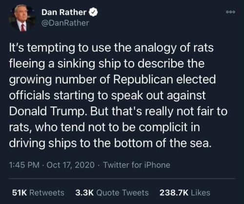 Kittydesade:30-Minute-Memes:don’t Insult The Good Name Of Rats Dan Rather Has Fucking
