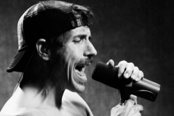 rhcp-blackandwhite:  I’m With You Era -