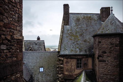 avdeev: Mont Saint-Michel Abbey, Lower Normandie, France. April 2014.