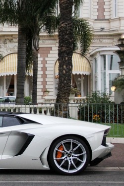 White Aventador by Chris Photography|| Robert