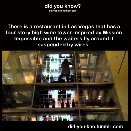 did-you-kno:  Source