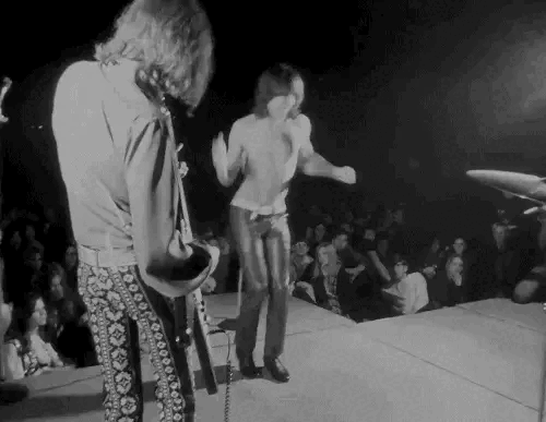 Iggy And The Stooges