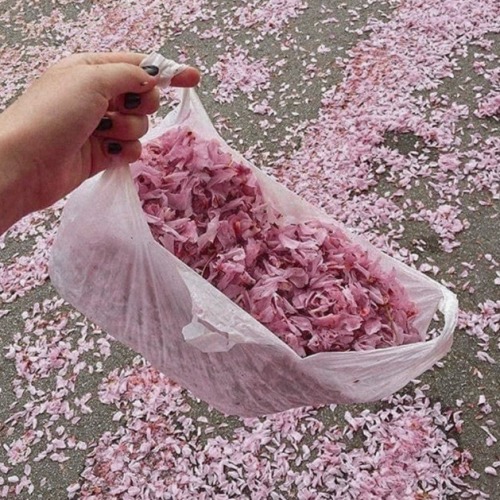 palepinksatin - ♡ Lost Lolita ♡