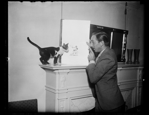 Walt Disney and Mickey Mouse meet a cat, circa 1931.Our doc Walt Disney premieres on September 14 an