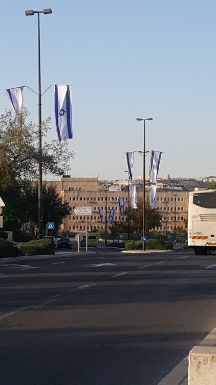 jewishwarriorprincess:Even my workplace is decked out in blue and white all over the building.