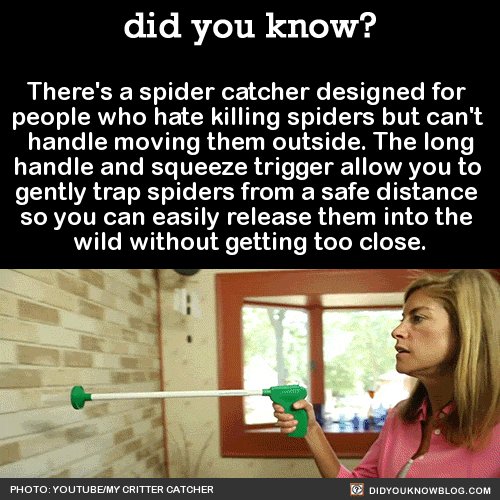 did-you-kno:  There’s a spider catcher designed for  people who hate killing spiders but can’t  handle moving them outside. The long handle and squeeze trigger allow you to  gently trap spiders from a safe distance  so you can easily release them