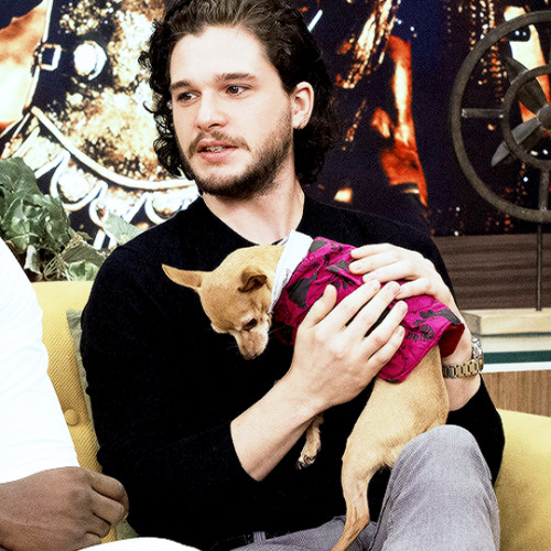 dailykitharington:Kit Harington + dogs ❤♡❤