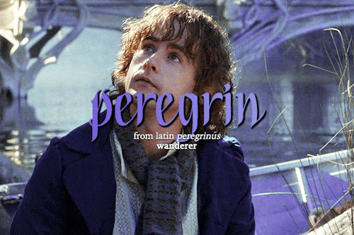The Hobbits + Name Etymology 