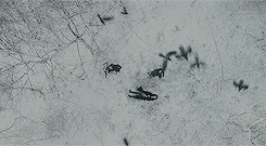 in-love-with-movies:Snow White and the Huntsman (USA, 2012)