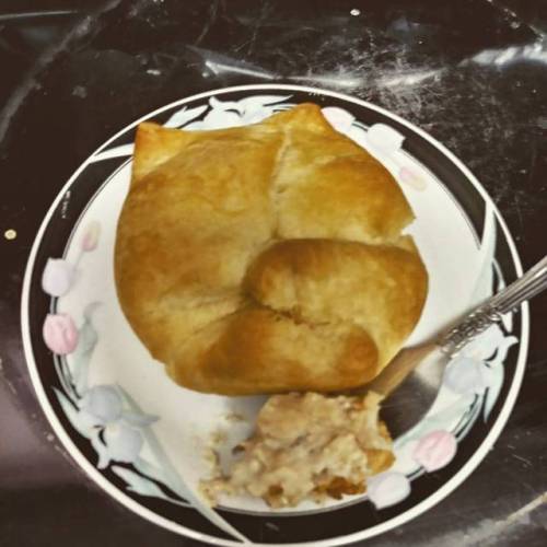 Made myself some yummy (at least I hope they&rsquo;re yummy) creamy garlic chicken hand pies for