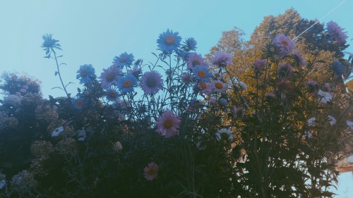340kmawayfromyou: ☁☁