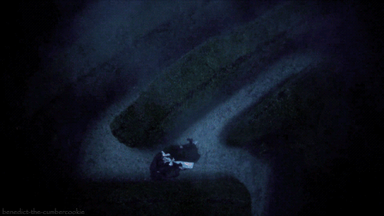 benedict-the-cumbercookie:  visual porn