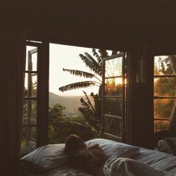 tropical-escape23:  (via Inspiration, , Swedish () • Instagram photos and videos