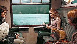 johnslupin:back to hogwarts, 1994.