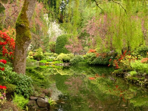 spring 2012 butchart gardens, victoria