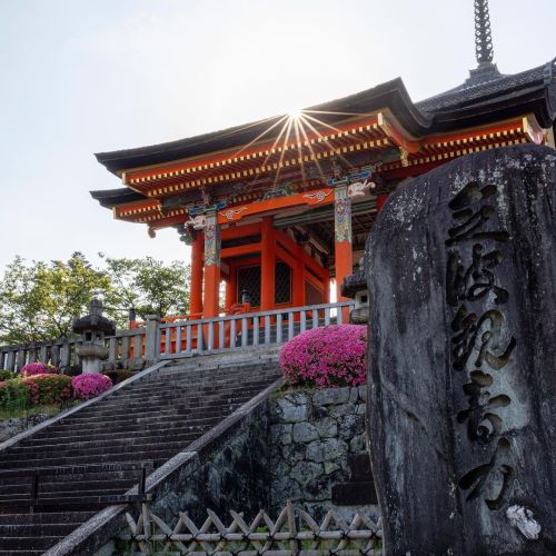 朝の清水寺 #清水寺 #皐月 #京都 #kiyomizudera #kyoto #higashiyama @feel_kiyomizudera #feel_kiyomizudera (Kiyomiz