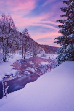  Purple Snow 