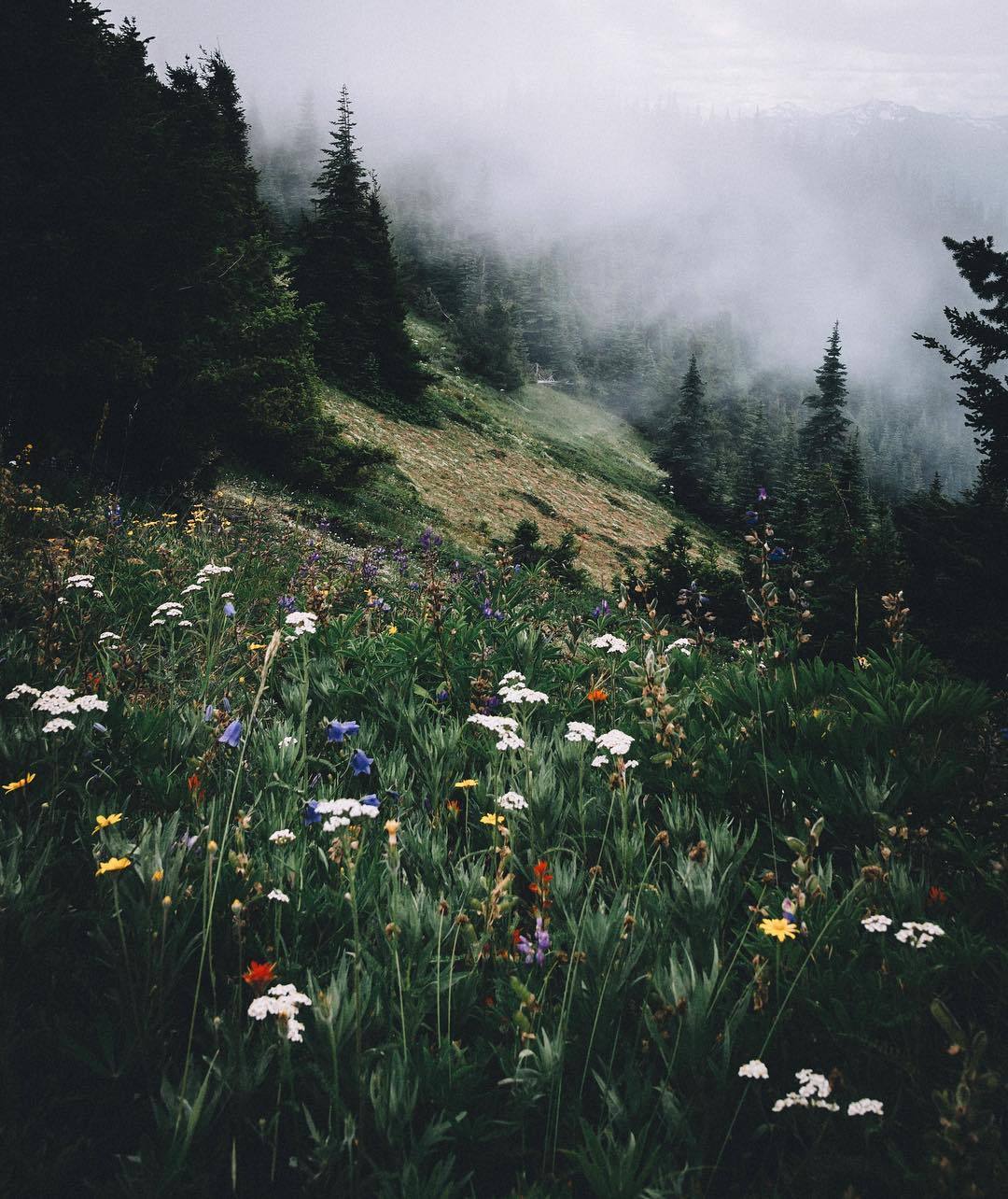 delta-breezes:Nathan Szwarc | @aszwarc