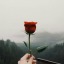 haticessblog