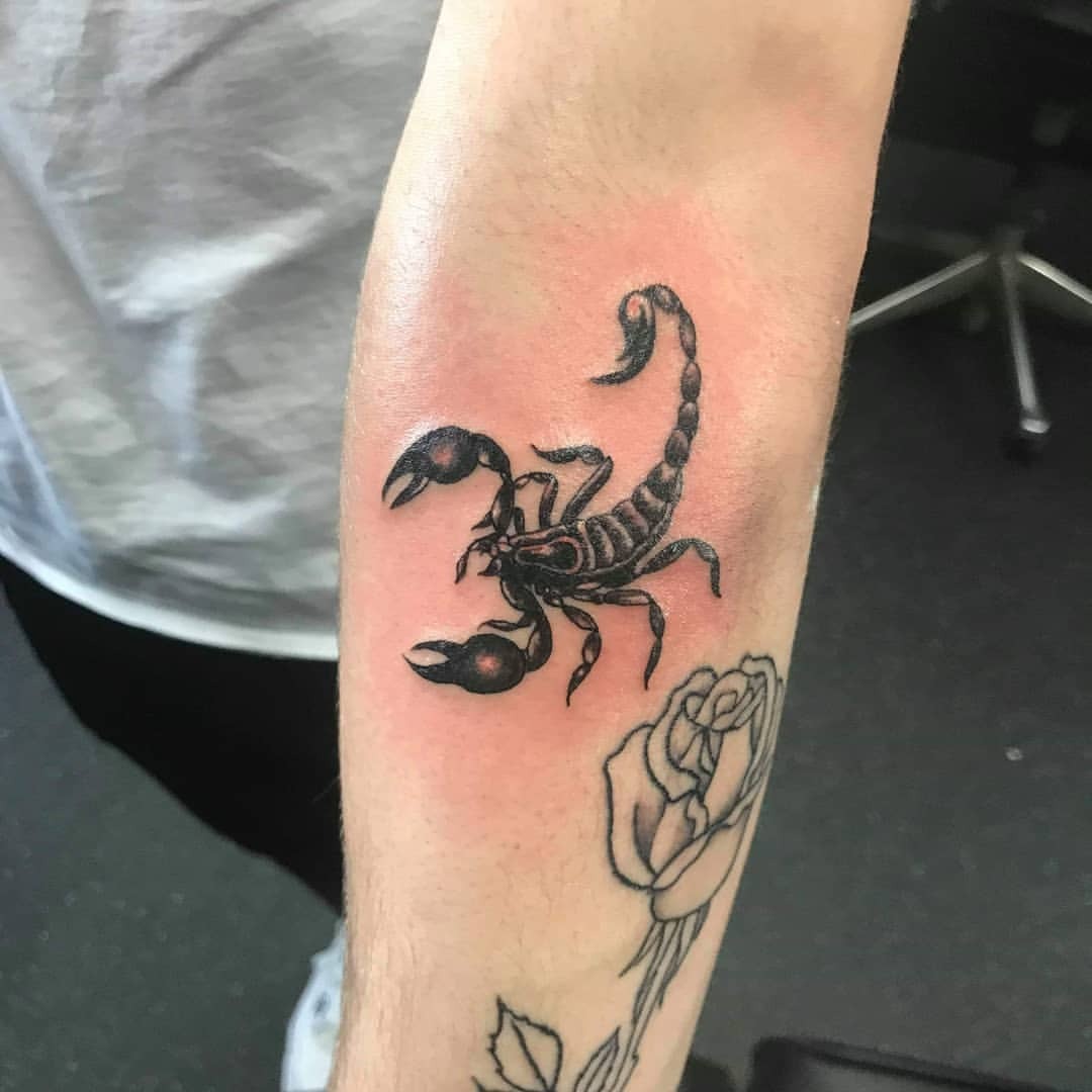 Tattoo Scorpion | Domestika