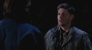 sammy-samulet:  guardian: /noun/   a defender, protector, or keeper.   