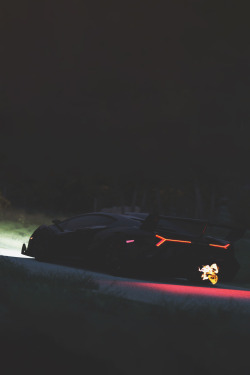 avenuesofinspiration:  Stealth Veneno | Source