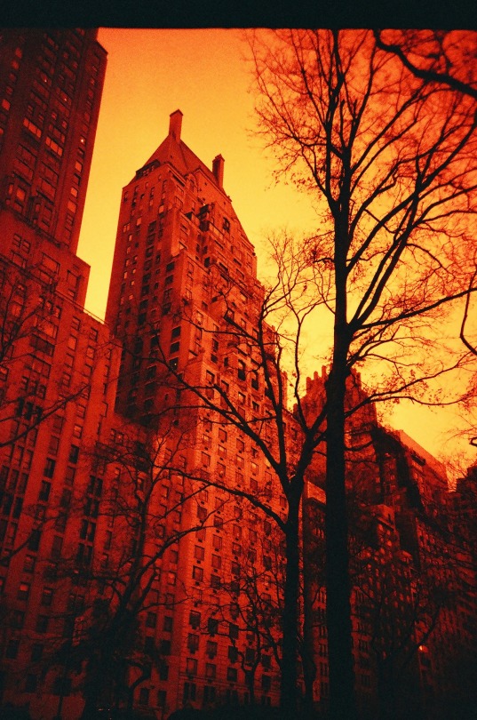 Central Park