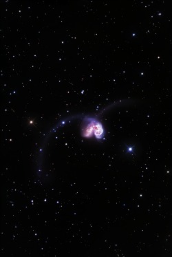 the-other-time-lord:  NGC 4038/4039: The