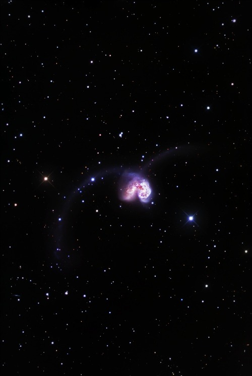 Sex the-other-time-lord:  NGC 4038/4039: The pictures