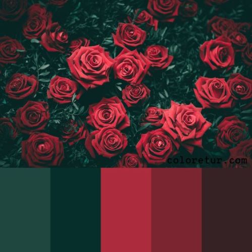 Featured image of post Red And Green Aesthetic - Daily additions of new, awesome, hd aesthetic wallpapers for desktop and phones.